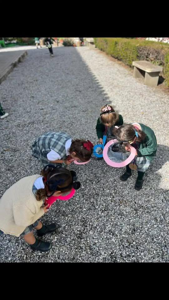 Proyecto Hormigas en Segundo Ciclo
