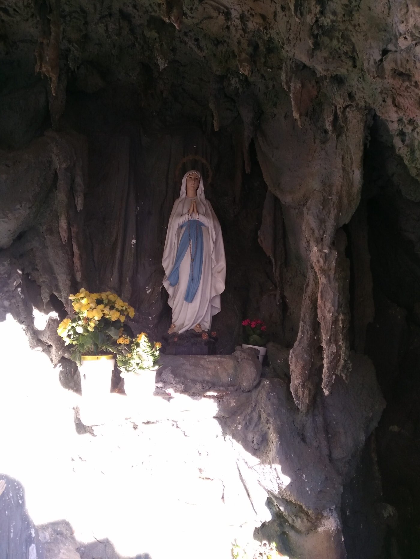 Bendita sea tu pureza y eternamente lo sea, pues todo un Dios se recrea en tan graciosa belleza. A Tí celestial princesa, Virgen Sagrada María, te ofrezco en éste día, alma, vida y corazón. Mírame con compasión, no me dejes Madre mía.